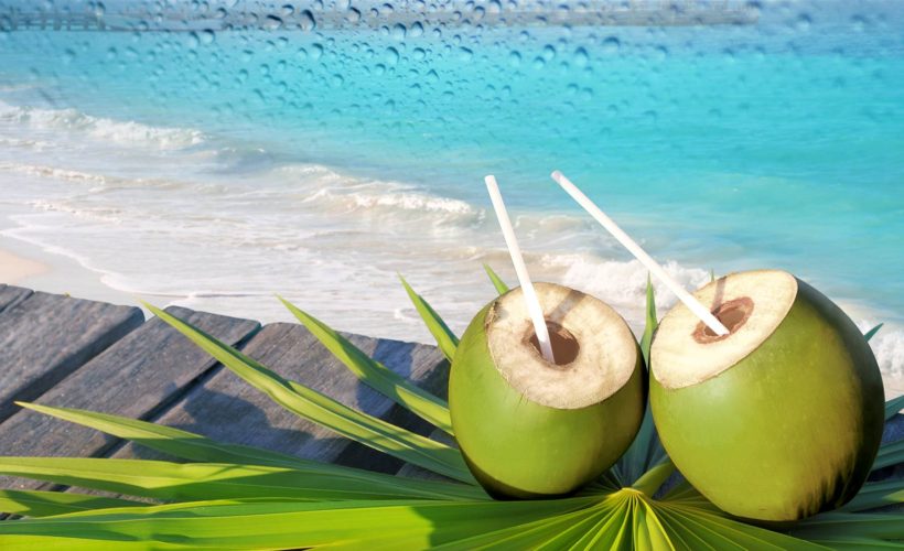 Homemade Coconut Water Face Toner Recipe