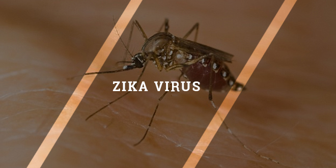 Eight best ways to avoid Zika virus infection