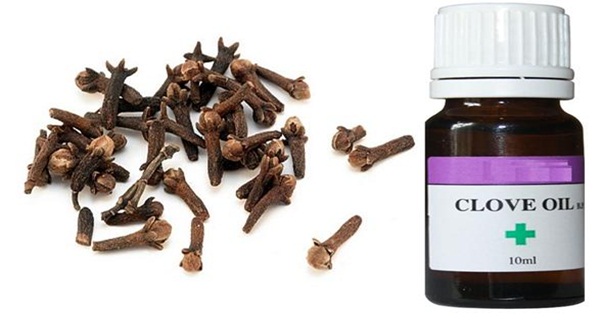 Clove oil eases pain & can also be useful on the infection that is prevalent at the time of gingivitis. So applying one or two dashes of clove oil