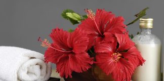 Two Best Hibiscus hair mask recipe for silky hair