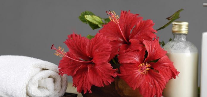 Two Best Hibiscus hair mask recipe for silky hair
