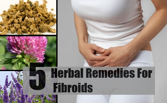 Herbal Remedies For Fibroid
