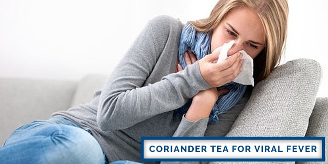 Coriander Tea for Viral Fever