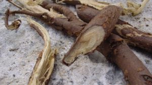 Best 8 Health benefits of Licorice root