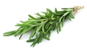 Health Benefits Of Rosemary