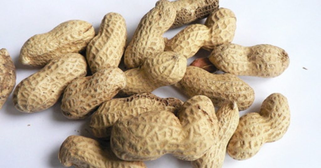 Is eating Peanuts Are Good For Weight Loss? Yabibo