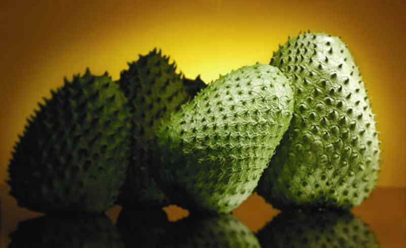 Effective health benefits of Guanabana Fruit - Yabibo