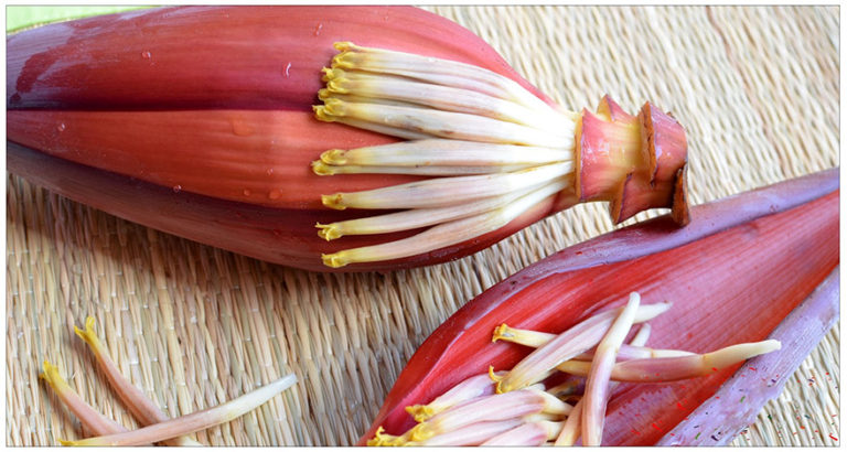 Health benefits of banana flower