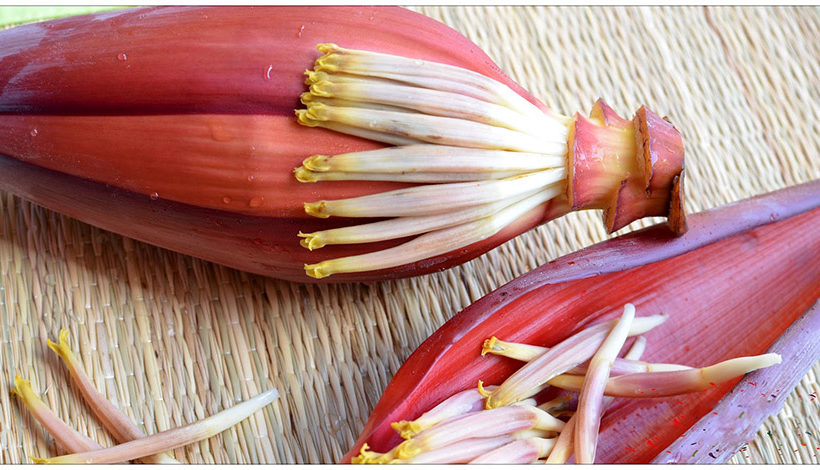 Health benefits of banana flower