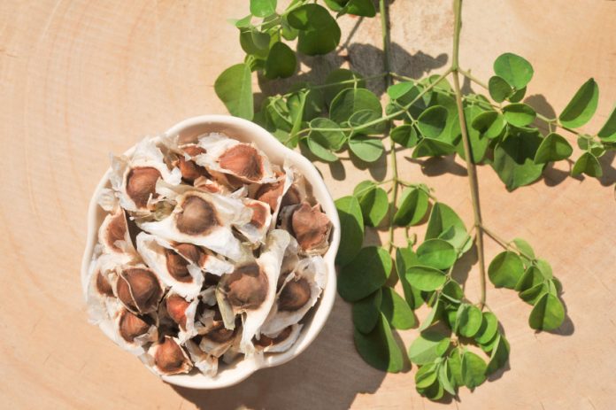 health benefits of Moringa seeds