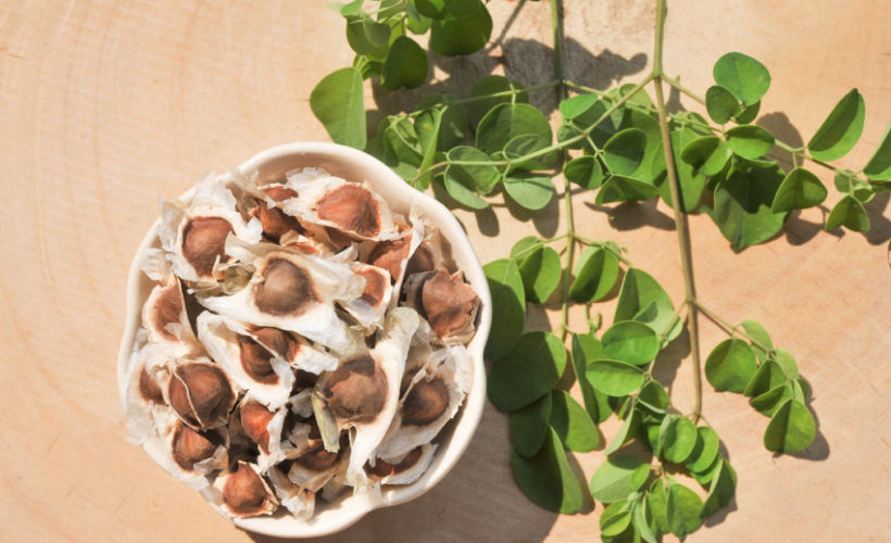 health benefits of Moringa seeds