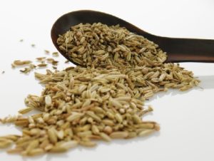 Yaneff 261015 11 300x226 - Top 10 effective Health benefits of cumin seeds