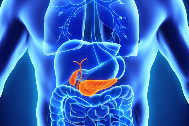 Foods that Heal Your Pancreas