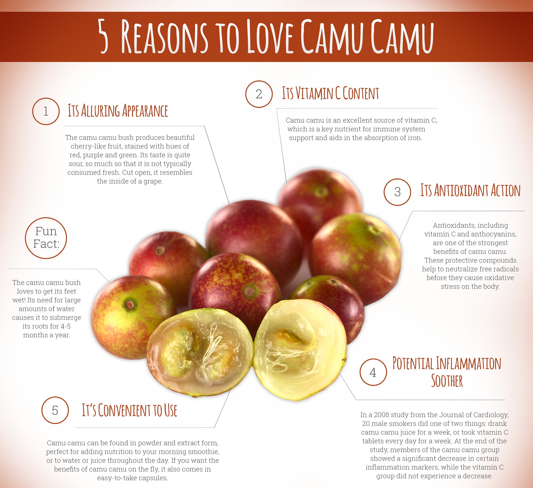 CamuCamu Infographic - 5 Best Reasons To Love Camu Camu