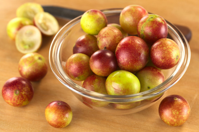 5 Best Reasons To Love Camu Camu