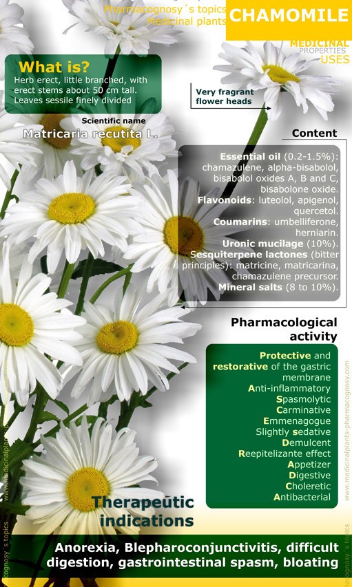  Chamomile Health Benefits, chamomile oil for skin, health benefits of chamomile tea