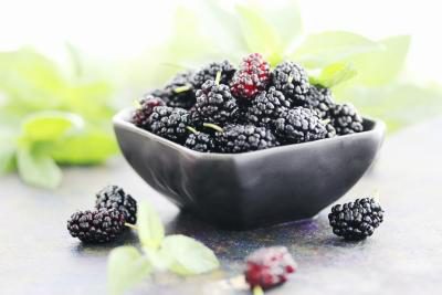 Health Benefits of Mulberries