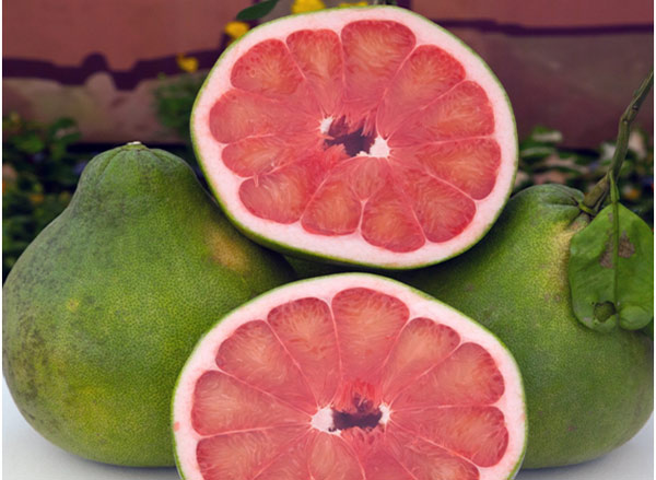 Are Pomelo Benefits are Good For Health ?
