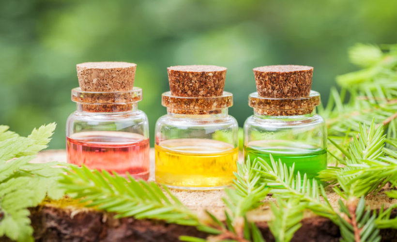 Famous Essential Oils