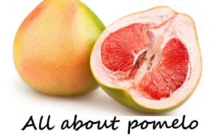 Are Pomelo Benefits are Good For Health ?