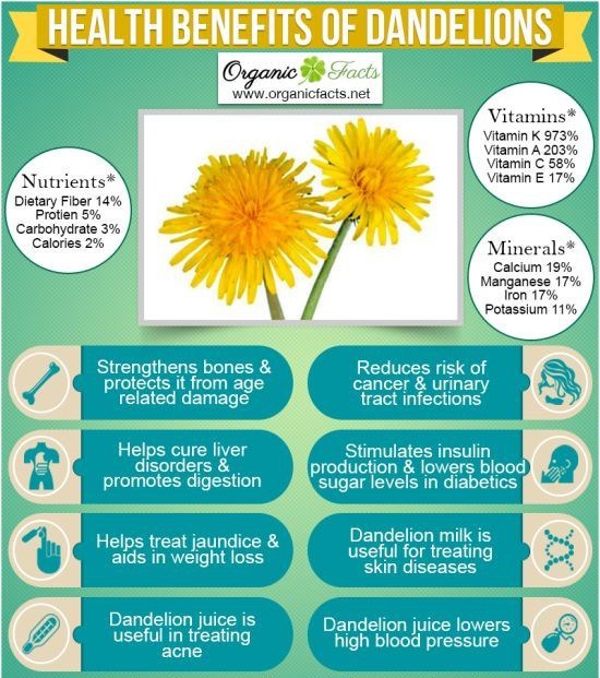 Amazing Health Benefits Of Dandelion