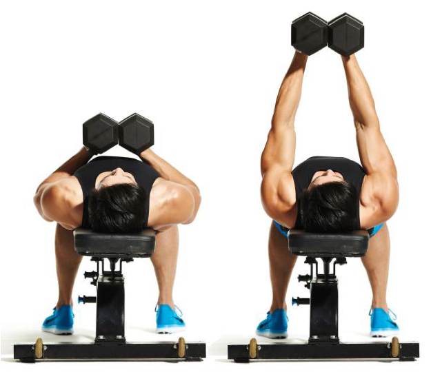 10 Best Chest Exercises for Building Muscle