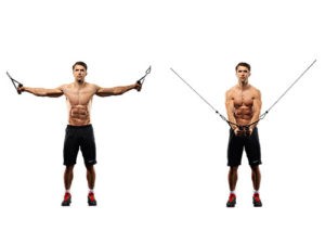 Best Chest Exercises for Building Muscle