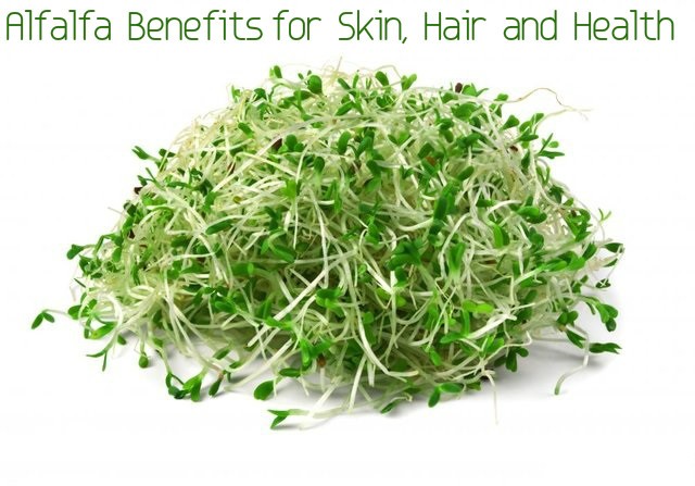 Get Beautiful Hair With Alfalfa