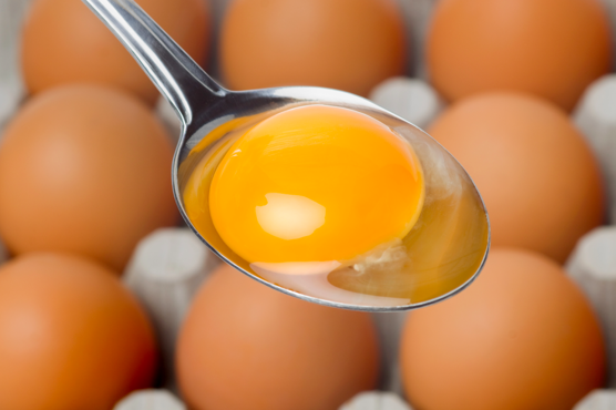 egg yolk - Get Sunlight and Get Rid if Vitamin D deficiency