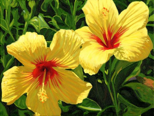 Top 15 Beautiful Yellow Flowers In The World