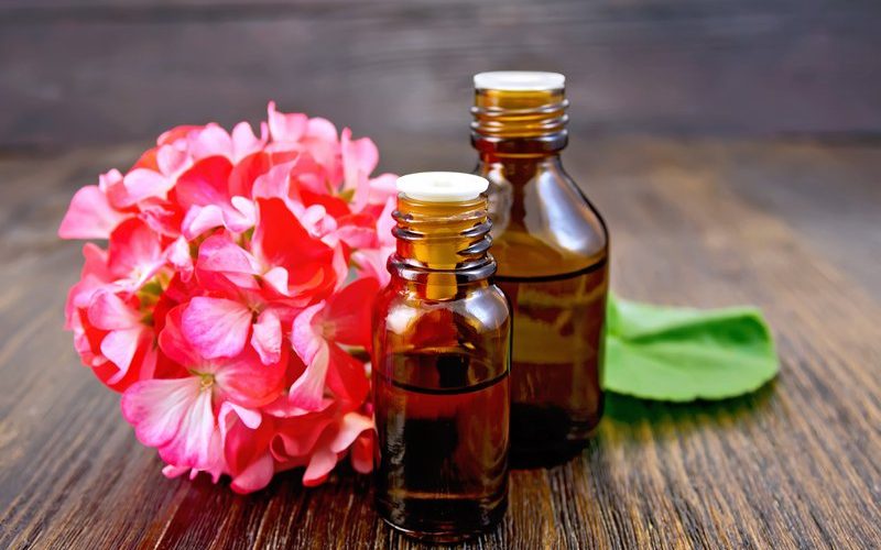Health Benefits of Geranium