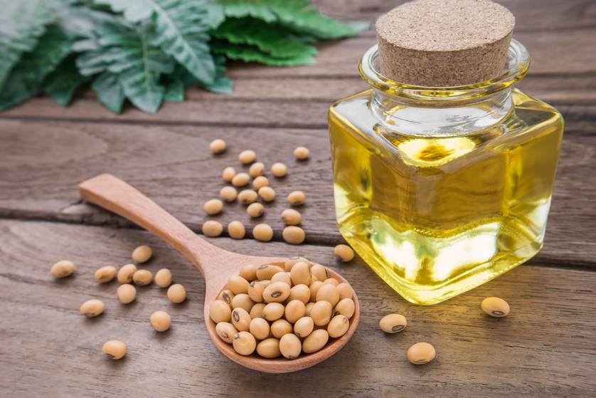 Beauty Benefits of Soybean Oil