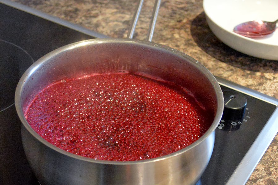 DIY Homemade Elderberry Syrup Recipe