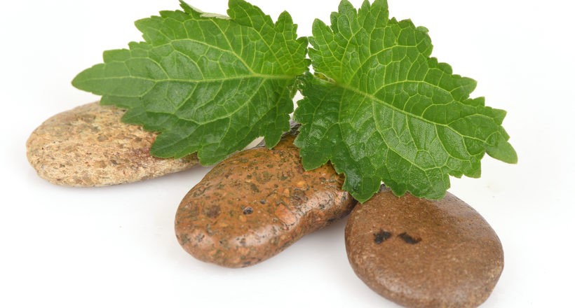 health benefits of Patchouli essential oil health benefits of Patchouli essential oil