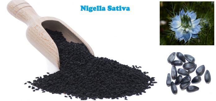 Health Benefits and Uses of Nigella Sativa