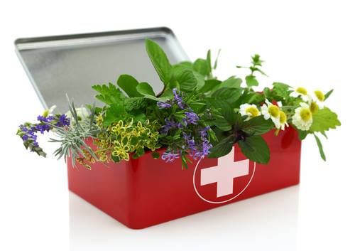 How to Make Natural First-Aid Kit