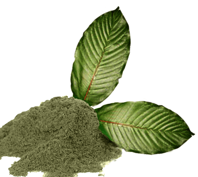 Wonderful Health Benefits Of Kratom