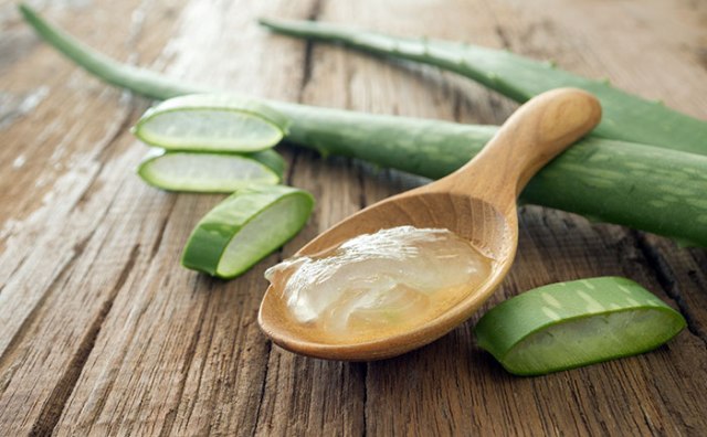 Aloe Vera - Best Home Remedies for Anal Fissures