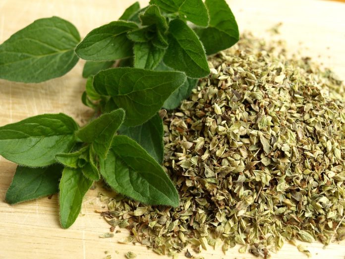 Health Benefits of Oregano