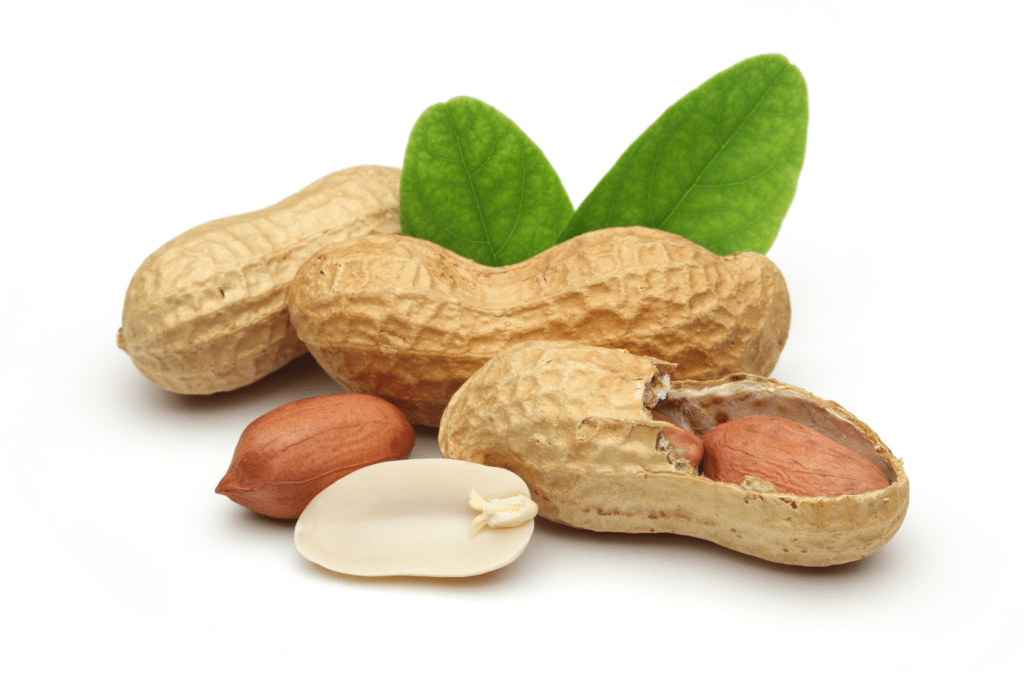 Amazing health benefits of peanuts