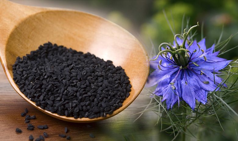 Kalonji Black Seed Oil For Baldness