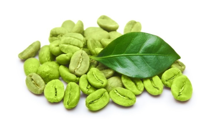 Does the green coffee bean really work for weight loss?