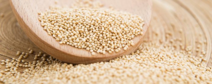 7 Reasons To Indicate Amaranth is a Super food