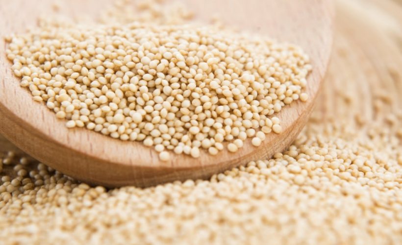 7 Reasons To Indicate Amaranth is a Super food