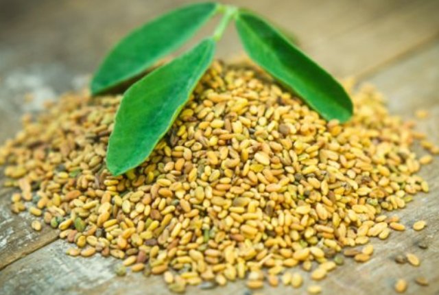 Fenugreek Powder And Green Tea - How to get rid of oil bumps naturally?