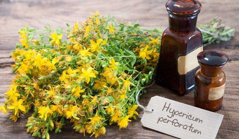 Wonderful Benefits Of Rue Herb For Hair, Health, and skin