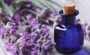 Benefits Of Hyacinth Herb