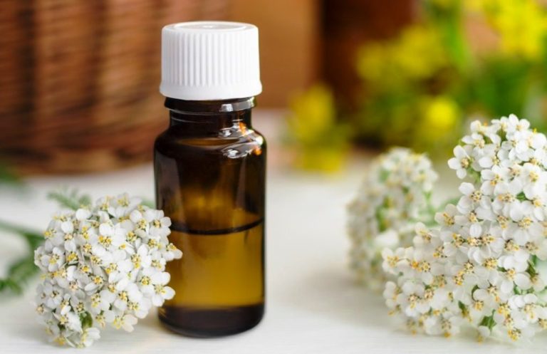 10 Health and Beauty Benefits of Yarrow Essential Oil