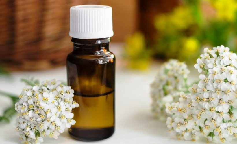 10 Health and Beauty Benefits of Yarrow Essential Oil 10 Health and Beauty Benefits of Yarrow Essential Oil 820x500 - 10 Health and Beauty Benefits of Yarrow Essential Oil