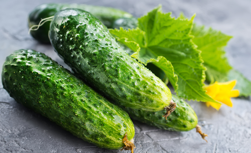 5 Cucumber Detox Juices you Need to Try 5 Cucumber Detox Juices you Need to Try